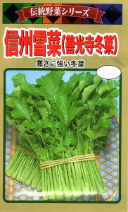 【種子】伝統野菜シリーズ 信州雪菜（善光寺冬菜）トーホクのタネ