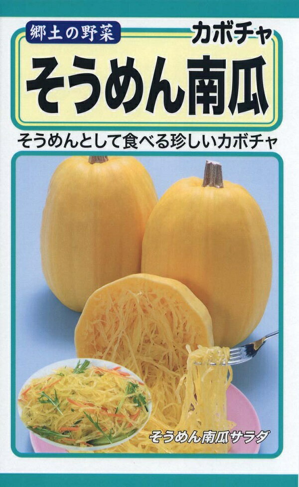 【種子】そうめん南瓜 トーホクのタネ