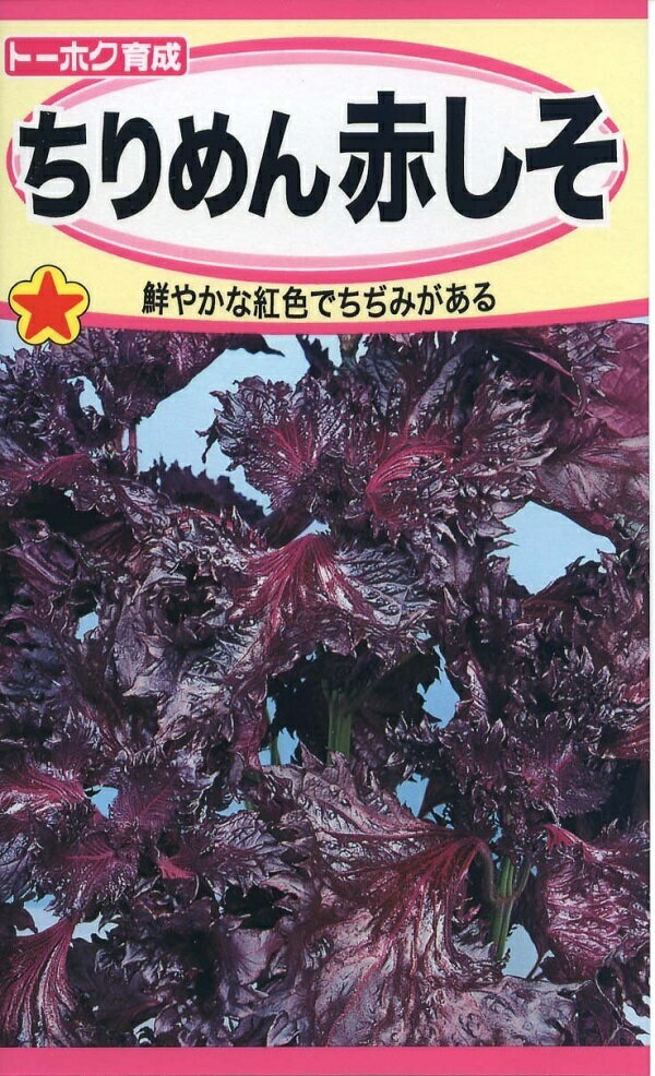 【種子】ちりめん 赤しそ トーホクのタネのサムネイル