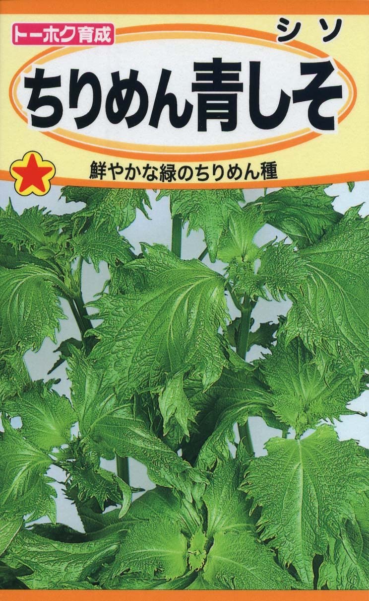 【種子】ちりめん 青しそトーホクのタネのサムネイル