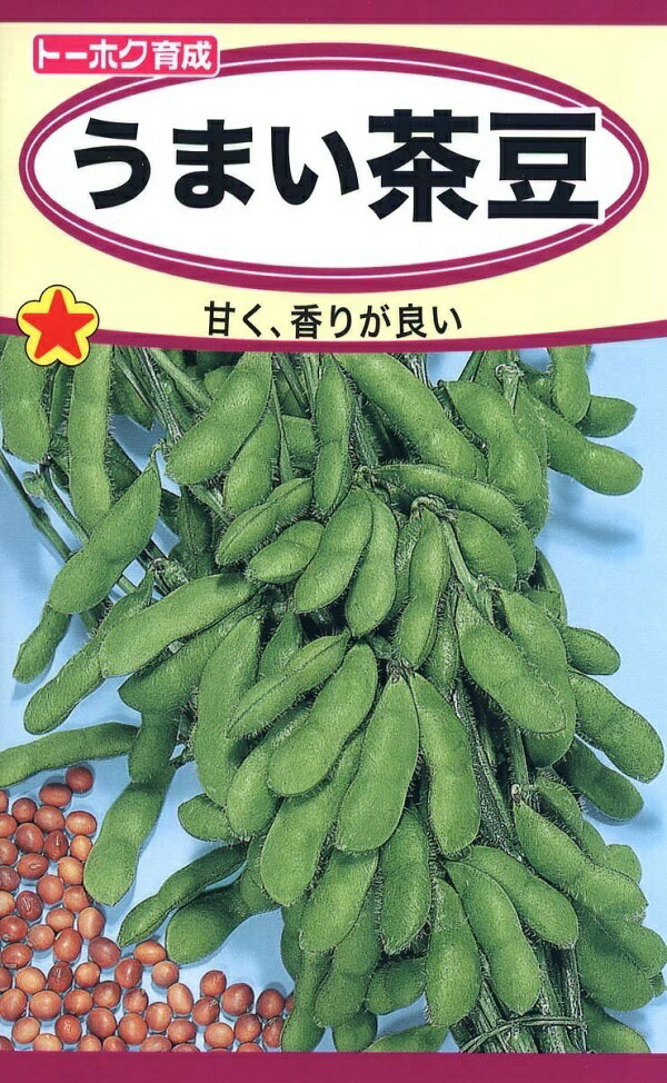 【種子】うまい茶豆 トーホクのタネのサムネイル