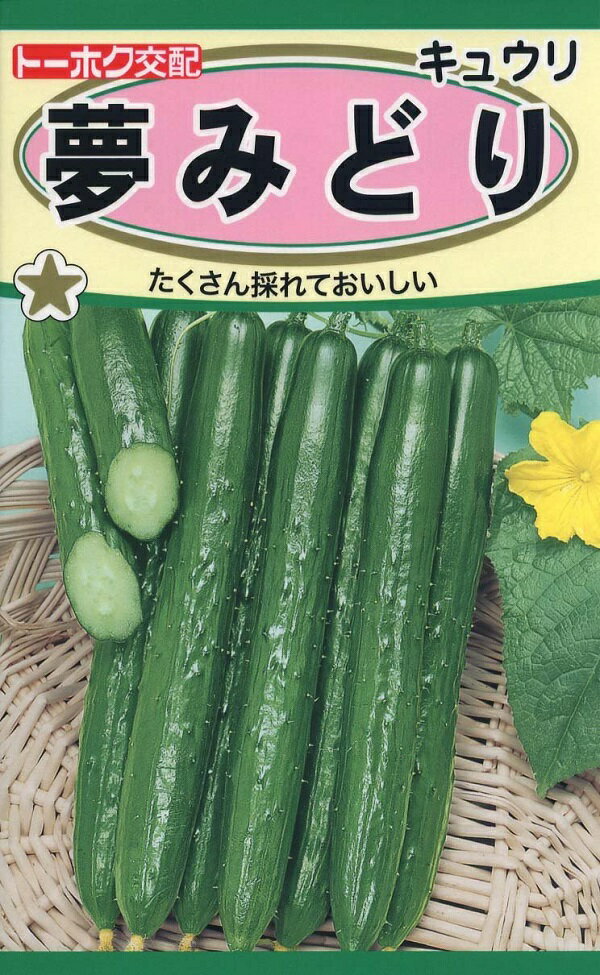 【種子】キュウリ 夢みどり トーホクのタネ