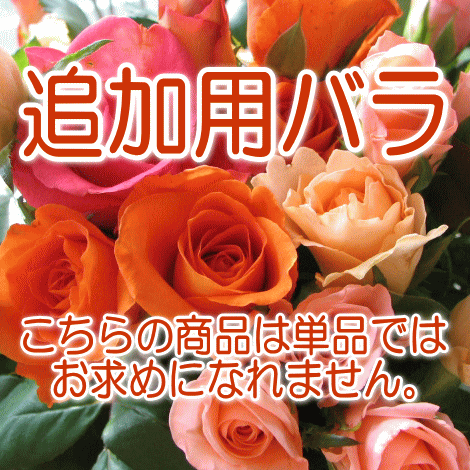 カテゴリ未分類 の記事一覧 フラワー 楽天ブログ