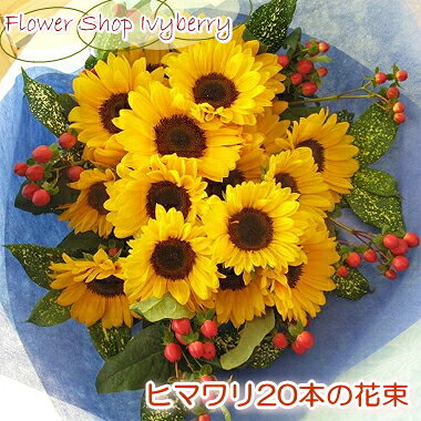 ≪送料＆クール便代金込み≫ナチュラル＆シンプルなヒマワリブーケ（花束）ヒマワリ20本タイプ★お届けは9月10日まで★ひまわり 誕生日 フラワーギフト 花 誕生祝い フラワー ギフト お中元 暑中お見舞い 残暑見舞い