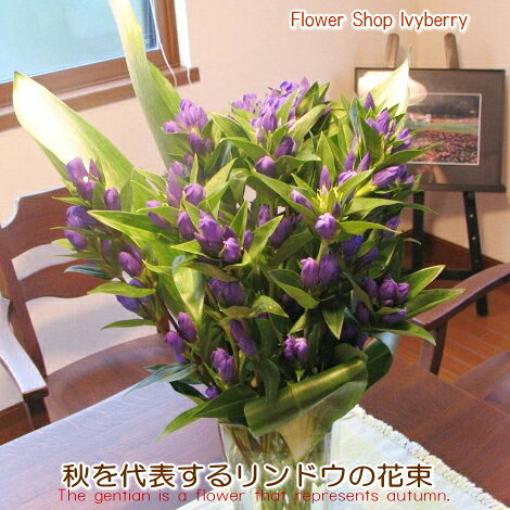 ≪送料＆クール便代金込み≫たっぷりリンドウのすっきり花束