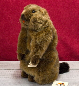 マーモット KOSEN(ケーセン社) 34cm Marmot Groundhog/ぬいぐるみ プレゼント/リアル/動物/ギフト/子供/女の子/男の子/大人/クリスマス