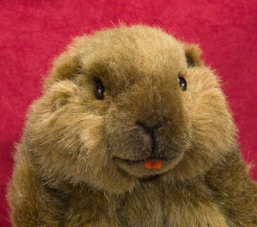 マーモット KOSEN(ケーセン社) 34cm Marmot Groundhog/ぬいぐるみ プレゼント/リアル/動物/ギフト/子供/女の子/男の子/大人/クリスマス