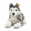 奿 ƥǥ٥ Сˡϥ ean 067891 33cm Steiff Bernie Husky