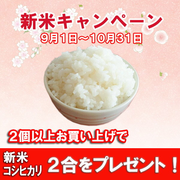 【新米入荷】【平成30年産】【赤ちゃん米】【送料無料】【出産内祝い】抱っこできる 出生体重米　丹後産コシヒカリ 内祝い/内祝い　米/体重米/出生体重米/名入れ/出生体重/お返し/誕生/名入れギフト/1g 1円/