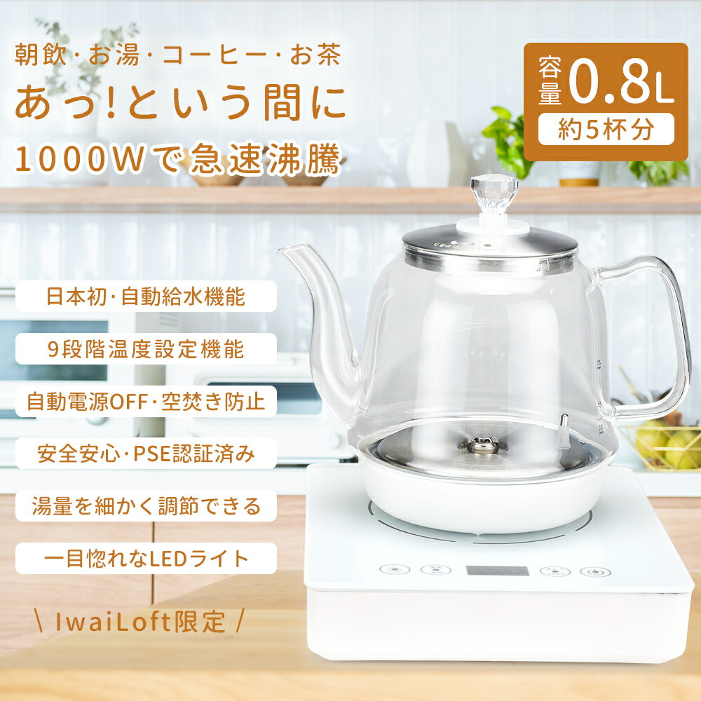 急速沸騰 電気ケトル 耐熱ガラス ガラスケトル 1000W 800mL カフェケトル 電気ポット 温度調節 保温機..