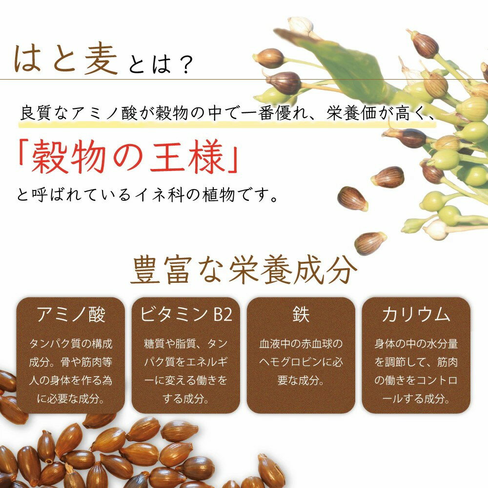 楽天1位 国産 はと麦茶 270g はとむぎ茶...の紹介画像3