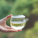 IwaiLoft 手作り ガラスピッチャー 170ml 耐熱ガラス 片口 徳利 酒器 コーヒーポット ティーサーバー ガラスポット 日本酒 片口注器 ミルクピッ...