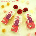 母の日 2025 プチギフト 京小花〜カーネーション〜ありがとうございます。メッセージシール