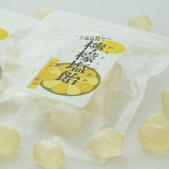 業務用!!レモン塩飴（レモン塩あめ）『食べきりサイズ』便利なチャック付☆250袋入り☆レビュー書き込みで次回あめプレゼント