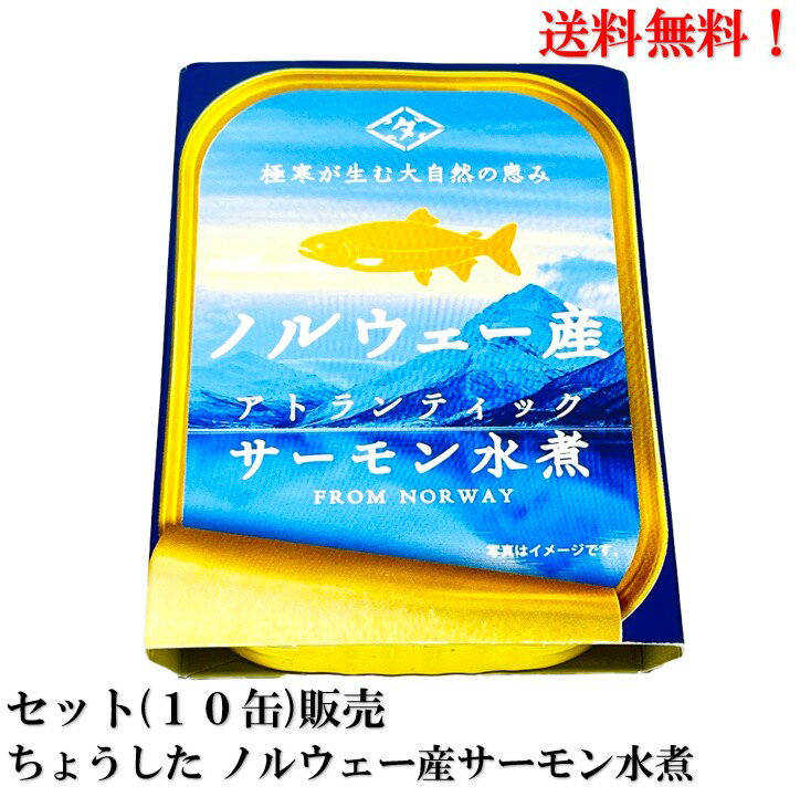 【エントリーで全品P10倍!】ちょうした ノルウェー産サーモン水煮 90g × 10缶 セット【賞味期限2026年9月】 缶詰 アトランティックサーモン 田原缶詰 送料無料