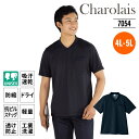 介護 医療 Tシャツ Vネック レディース メンズ 吸汗 速乾 消臭 ドライ 防縮 軽量 透け防止 工業洗濯 介護士 ウェア 介護服 制服 ユニフォーム 男女兼用 大きいサイズ 4L 5L シャロレ