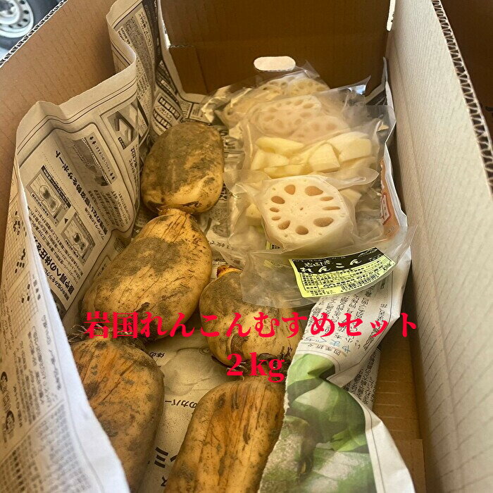 岩国れんこんむすめセット2kg 岩国れんこん 山口県特産 お歳暮 贈答 ギフト 地産地消 お手軽 時短調理 元気野菜