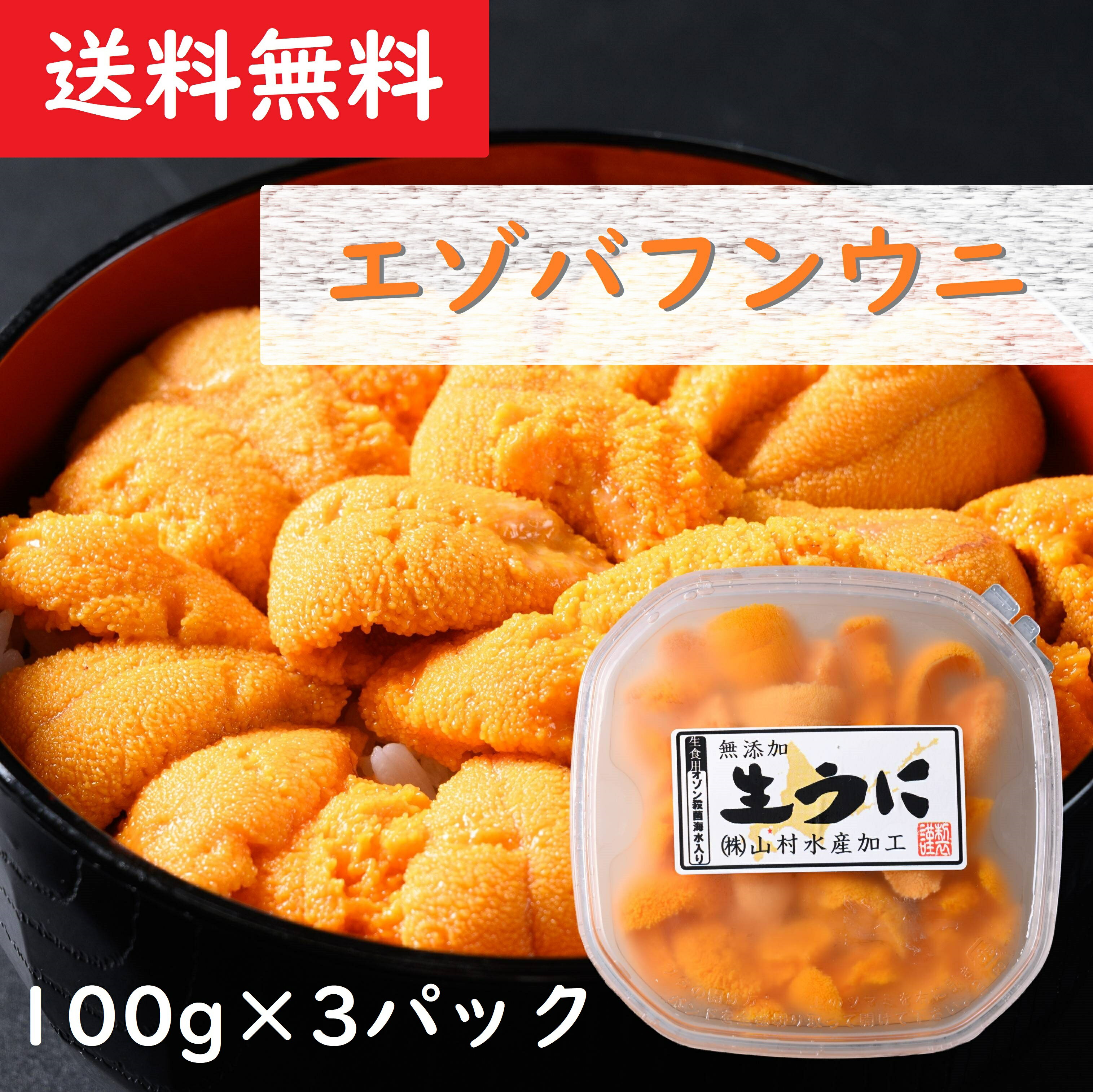 バフンウニ 【送料無料】 エゾバフンウニ 100g×3パック 北海道産 無添加 生食用 生うに 生ウニ 塩水ウニ 塩水うに ギフト プレゼント 贈り物