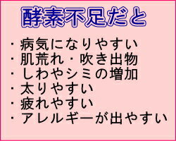 レビュー4.5以上★老舗の酵素専門屋だけの濃縮酵素原液安心安全低農薬無農薬の国産野菜が原料バイオきせき(720ml)×2本ファスティング/プチ断食/ダイエット酵素/酵素ドリンク/酵素液/酵素配合/大和酵素/ギフト/お歳暮/プレセント