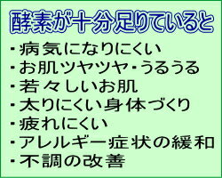 レビュー4.5以上★老舗の酵素専門屋だけの濃縮酵素原液安心安全低農薬無農薬の国産野菜が原料バイオきせき(720ml)×2本ファスティング/プチ断食/ダイエット酵素/酵素ドリンク/酵素液/酵素配合/大和酵素/ギフト/お歳暮/プレセント