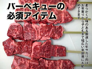 牛串 ジャンボ 焼肉 冷凍 40本 焼き肉 バーベキュー BBQ バーベキューセット