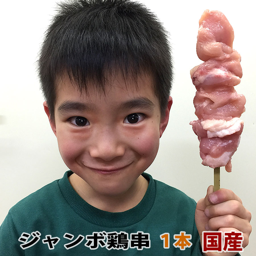 国産鶏肉 焼き鳥 鶏串 ジャンボ 冷凍 1本 100g (焼鳥 やきとり ヤキトリ 焼き肉 焼肉）