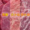 黒毛和牛 (大トロ・中トロ・赤身) 焼肉セット 自家製タレ付属 国産 冷凍 900g バーベキューセット 焼き肉 BBQ