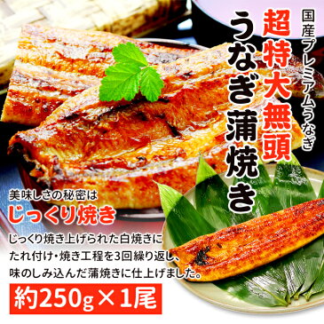 うなぎ 蒲焼 国産 送料無料 超特大 約250g×1尾 お取り寄せグルメ