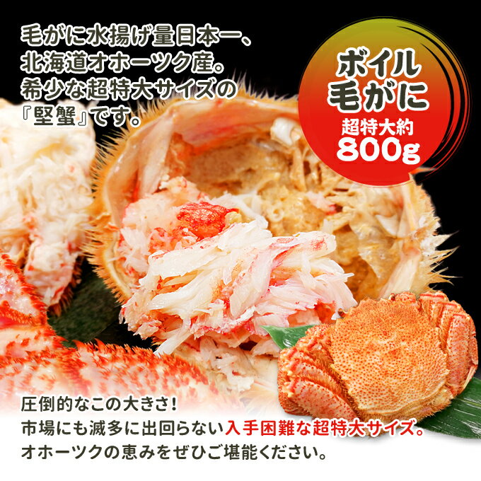 ボイル毛がに 超特大 約800g 1杯 送料無料 プレゼント ギフト お取り寄せグルメ★クーポン利用で20%OFF！8,800円