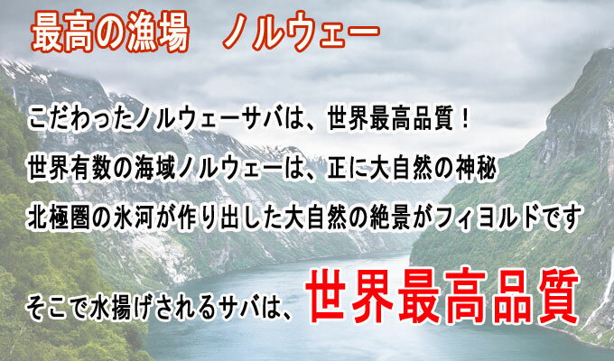 ノルウェー産 サバフィーレ 半身8枚 送料無料