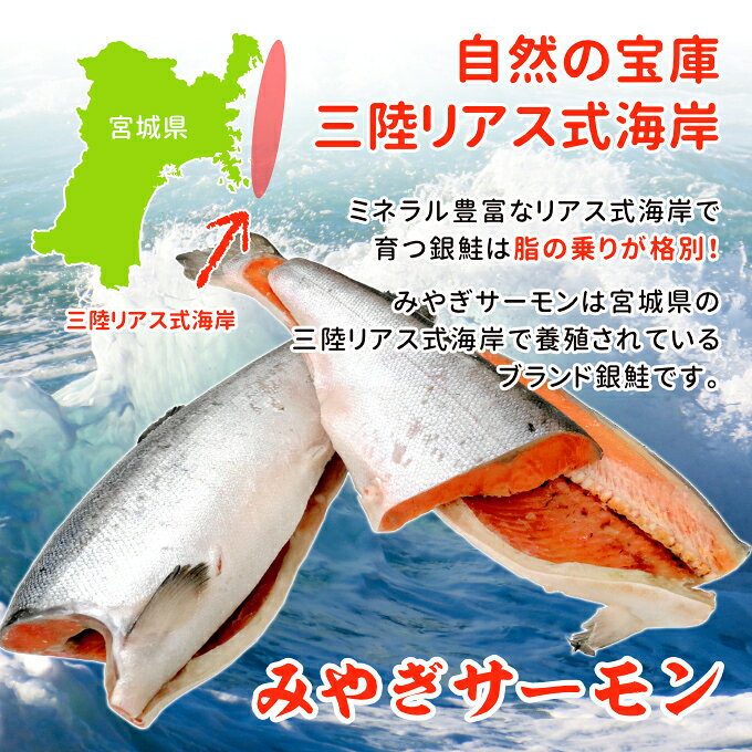 骨取り 国産銀鮭西京みそ漬け10切 送料無料 切り身 鮭 さけ 銀鮭 ギンサケ 骨取り 骨なし 骨とり 魚 さかな 冷凍 バラ凍結 国産 お取り寄せグルメ iwamatsu-salmon-10001230 サーモン専門店岩松 サンプル画像3