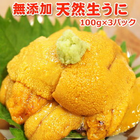 無添加 天然生うに 100g×3パック 送料無料 お取り寄せグルメ 海鮮 ギフト