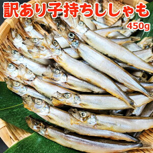 訳あり子持ちししゃも 450g 送料無料 お取り寄せグルメ