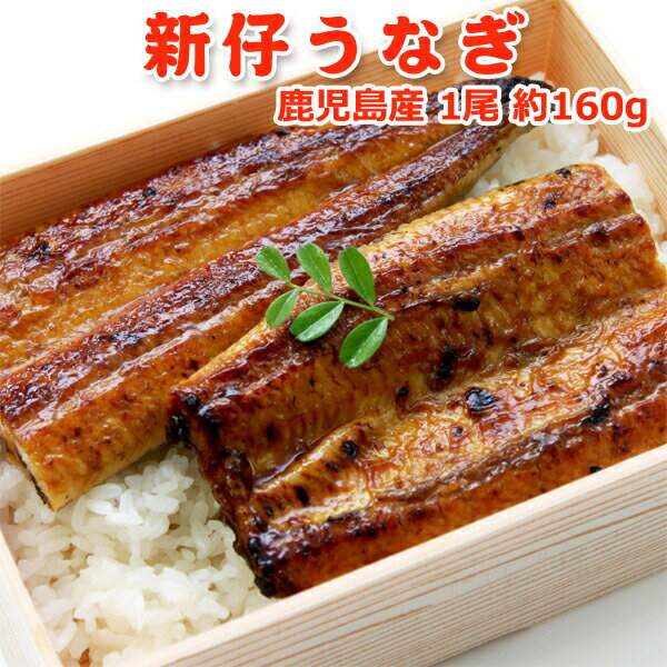 サーモン専門店岩松 うなぎ うなぎ 蒲焼 国産 新仔 約160g×1尾 送料無料 化粧箱なし お取り寄せグルメ