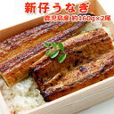 サーモン専門店岩松 うなぎ うなぎ 蒲焼 国産 送料無料 新仔 約160g×2尾 お取り寄せグルメ