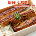 うなぎ 蒲焼 国産 送料無料 新仔 約160g×4尾 お取り寄せグルメ