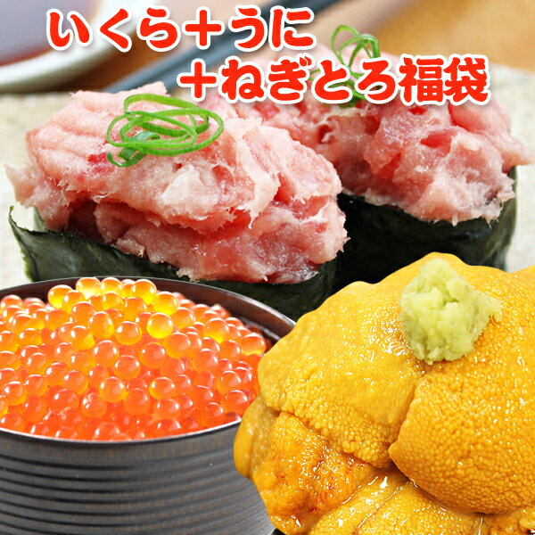 母の日 プレゼント 超得 5,499円!クーポン36%OFF!いくら 醤油漬け アラスカ 200g うに 100g ねぎとろ 200g 送料無料 福袋 海鮮セット 海鮮ギフト ギフト プレゼント