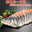 北海道産 新巻鮭 一本物 姿切り約2.3kg 送料無料 ギフト 海鮮 荒巻鮭 新巻き鮭