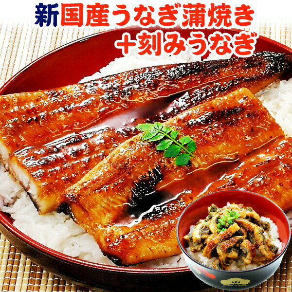 サーモン専門店岩松 うなぎ 新 国産 うなぎ蒲焼き 約170g1尾＋刻みうなぎ70g 送料無料 ふっくらやわらか 鹿児島産 土用丑の日 海鮮 グルメ ギフト