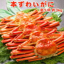 ズワイガニ姿5ハイ【約3キロ】 送料無料...