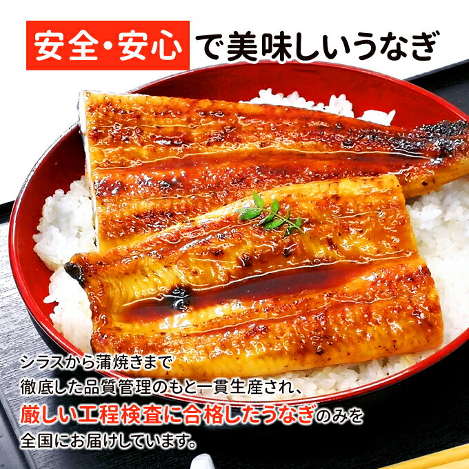 鹿児島産 新 国産 うなぎ蒲焼き 約170g1...の紹介画像3