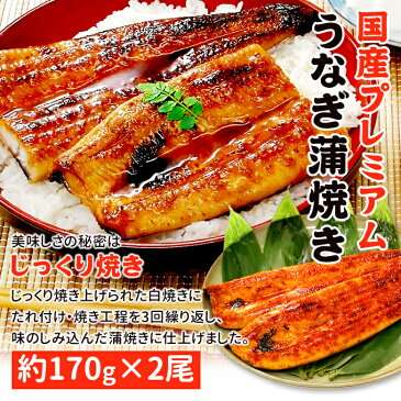 うなぎ 蒲焼 国産 送料無料 特大 約170gx2尾 お取り寄せグルメ