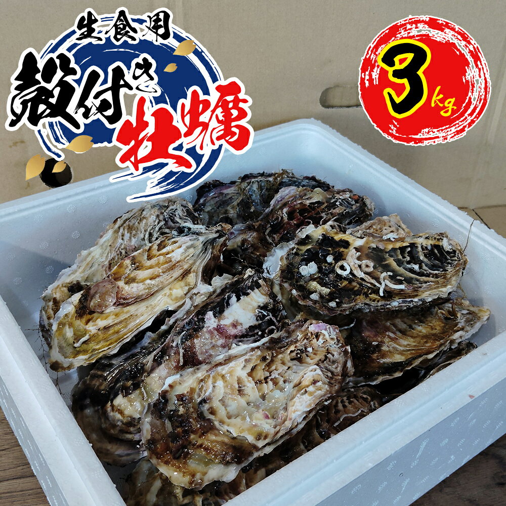 楽天市場】真牡蠣の通販