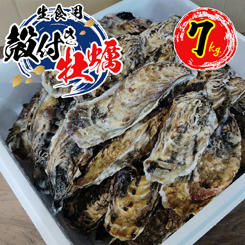 私が2年かけて育てた「秀峰牡蠣」の訳アリの方です。 訳アリ理由は形が悪いだけ 大きさも200gから100gとバラバラ　形も良くないですが、 べつに味は一緒なので、牡蠣だけで腹いっぱいにして下さい！ ◎安心安全 全て紫外線殺菌海水と次亜塩素殺菌海水のダブル殺菌で24時間以上、殺菌してから出荷いたします。 生食での安全性を高めております。 ◎味 牡蠣独特の匂いが少なく、子供や牡蠣嫌いな人でも食べれる味です。 これは、種から育てているので、北海道噴火湾の味になります。 ★★牡蠣の剥き方、食べ方 蒸し焼きなら、なにもしないのが、ちょうど良い塩加減です。 フライパンに蓋して蒸し焼き、蓋つきホットプレートで蒸し牡蠣の方が電子レンジより圧倒的に美味しくなります。 もちろん生で食べれます。 ★★塩抜き方法 北海道噴火湾の塩分濃度は33～35％と強烈です。本州は20％台です。 生で食べる際、しょっぱい場合は、塩鮭同様に薄い塩水で1時間ほど塩抜きをして下さい。ちょうど良くなります。これ、剥いた状態又は片方の殻を外した状態でです。 殻ごと塩抜きするには1晩かかります。