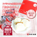 \ポイント10倍/【 母の日 限定】【 送料無料 】 岩崎本舗の母の日 長崎角煮まんじゅう×3 角煮まぶし×3 の 詰合せ 箱入 送料無料 母の日ギフト 母の日...