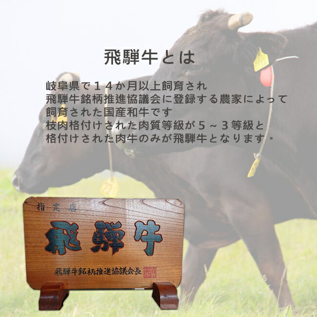 牛肉 和牛 飛騨牛 250g x 4 サーロイ...の紹介画像3