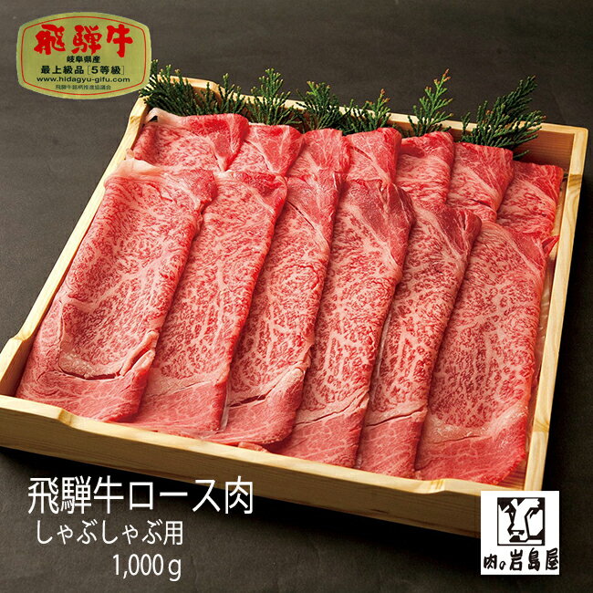 贈答品 A5等級 牛肉 1キロ 和牛 ギフト 景品 内祝 贈