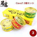CAVA? サヴァ缶 3種セット 《ケース入り》