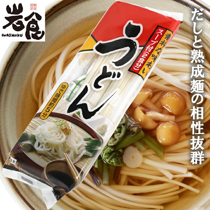 麺のスナオシ　スープ付きうどん