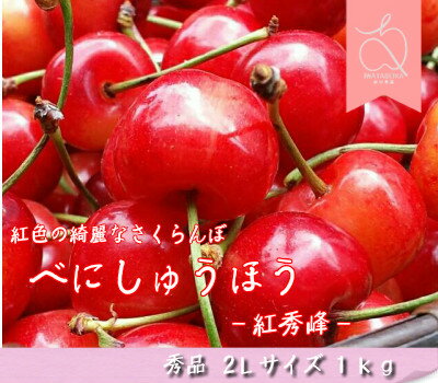 【送料無料】【北海道産 赤肉 メロン】北海道メロン　蘭越町　ようていメロン　大玉2玉入りプレゼント 贈り物 贈物